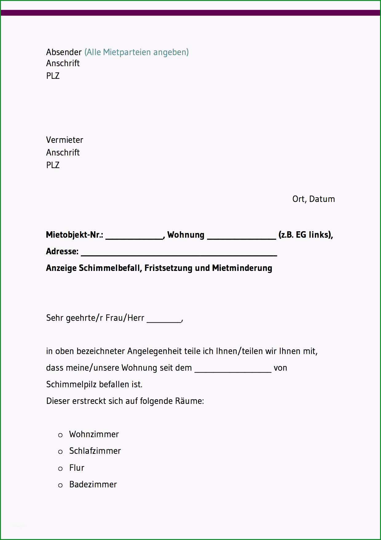 mietminderung vorlagen