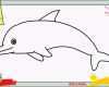 Phänomenal Delfin Zeichnen Schritt Für Schritt Für Anfänger &amp; Kinder