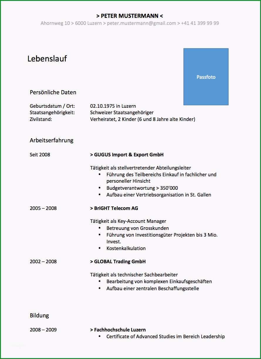 curriculum vitae cv lebenslauf vorlage