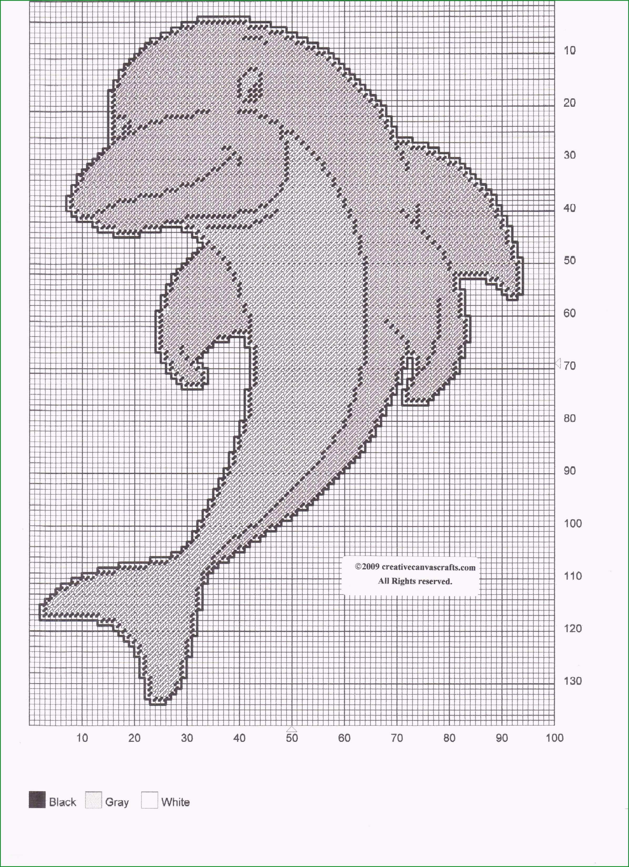 delfin ausmalbilder zum ausdrucken bildnis frisches delfin vorlage 2